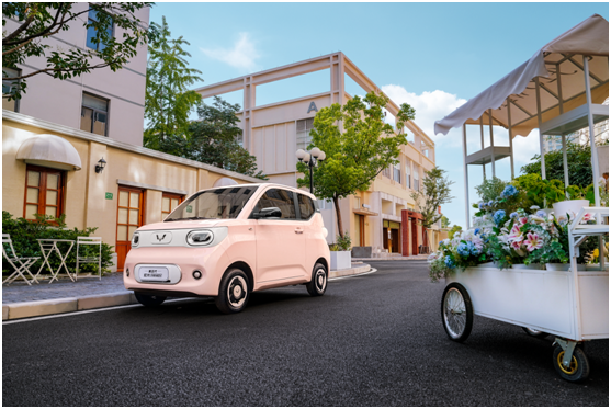 微信图片_20241105100309