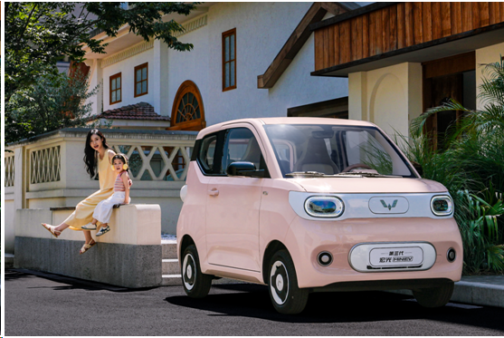 微信图片_20241105100244